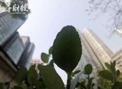 泰禾股份2022年毛利同比提升4%，汇兑损失9.67亿元