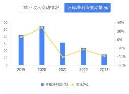 大华集团增收不增利，金惠明患上“虚胖”症